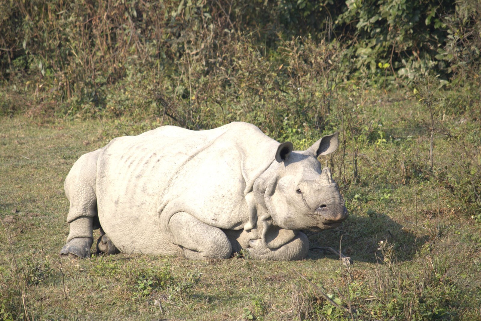 Nature escapes in Northeast India